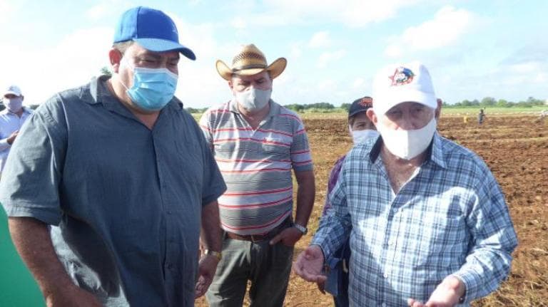 Machado Ventura exhortó a la realización de movilizaciones productivas, pero pragmáticas en el número de personas y, sobre todo, que las labores se distingan por su eficacia. Foto: Julio Martínez Molina