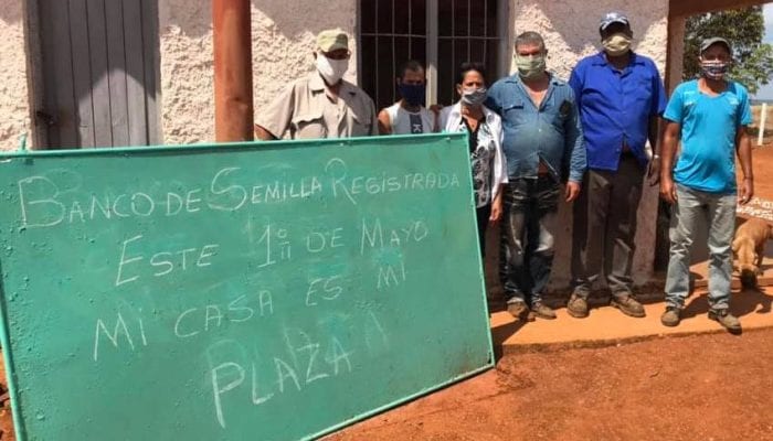 Banco de Semilla Registrada de Caraballo. Foto Yainely Guerra