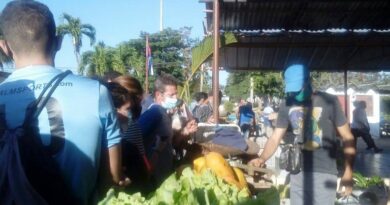 Productos agrícolas en mercado de Jaruco . Foto Anelis Díaz