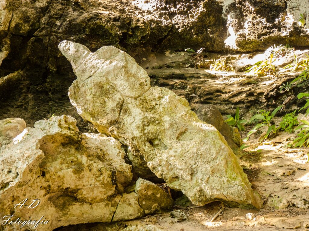 1.Torso de mujer, pieza más conservada de la serie que recibe al visitante en la solapa del Águila. Foto Addys Hernández