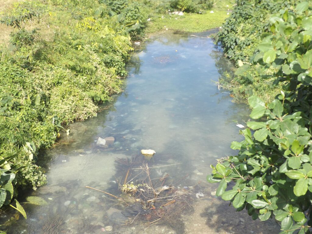 Hoy el río de Jaruco no es navegable con fines comerciales. Foto: Yordan Díaz 