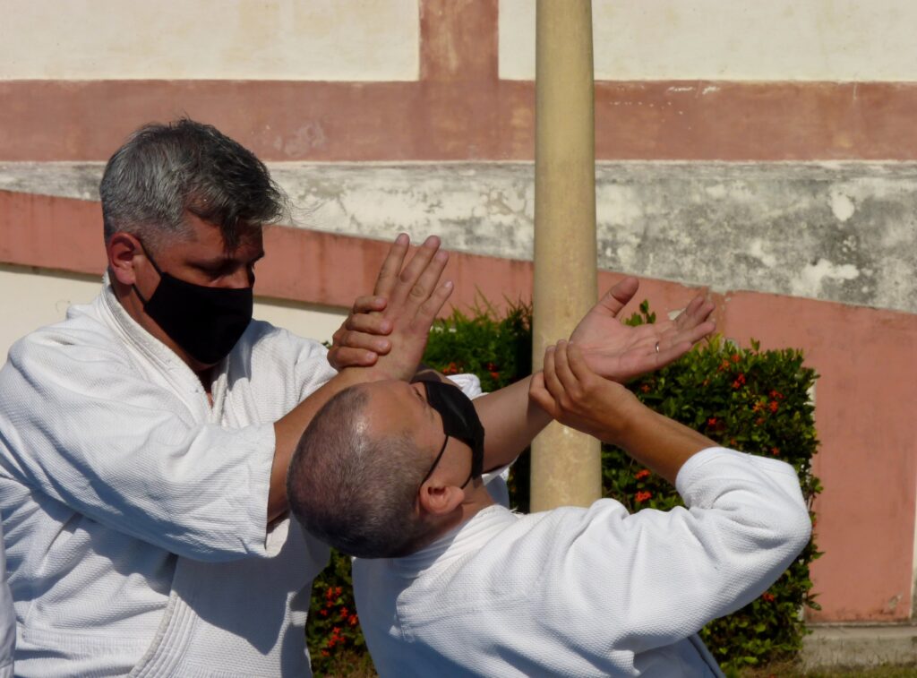 4.El Aikido, es un arte marcial que hunde sus raíces en la casta guerrera de los samuráis japonese; cuando se combate sin armas se utilizan brazos y manos como si de espadas se tratase. Foto Addys Hernández