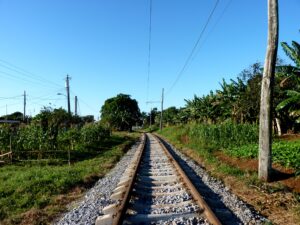 “Es necesario potenciar la agricultura urbana y familiar, como forma de buscar alternativas locales para enfrentar las carencias”. Miguel Díaz-Canel Bermúdez. Foto: Addys Hernández.