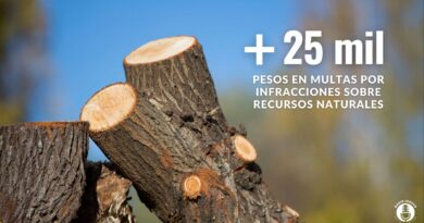 recursos naturales