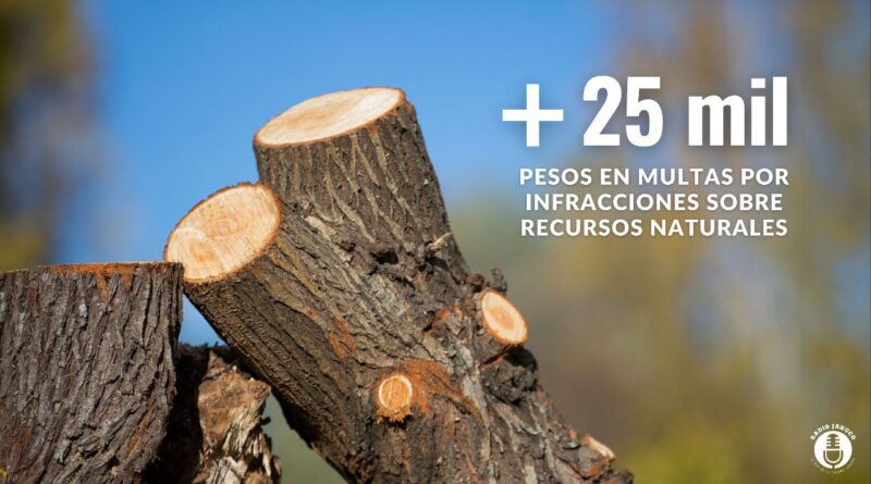 recursos naturales