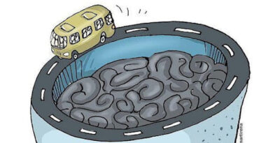 Transporte