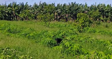 Agricultura