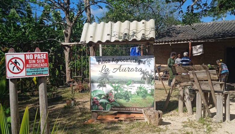 la aurora