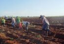Potenciar la producción de alimentos es tarea de todos