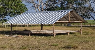 Impulsan en cooperativa cañera Cuba-Cambodia la siembra de cultivos varios