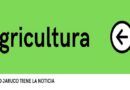 Instan en Jaruco a organizar procesos en la Agricultura