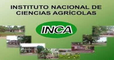 Salvaguardando nuestro entorno natural