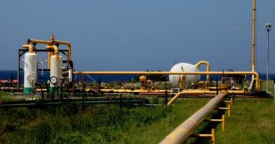 El incremento de la producción de gas suma capacidades para la generación eléctrica