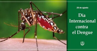 La lucha contra el dengue: un desafío sanitario urgente
