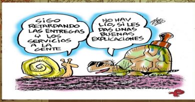 Registro Civil: Trámites sin Fin