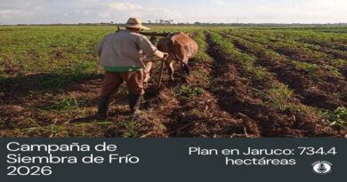 Enfrentan Campesinos Jaruqueños Campaña de Siembra de Frío