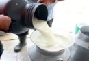 Decreció entrega de leche en San Antonio de Río Blanco