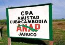 Crecen áreas cañeras en cooperativa Amistad Cuba Cambodia Crecen áreas cañeras en cooperativa Amistad Cuba Cambodia