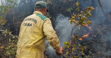 Intentan contener incendio forestal en occidental provincia cubana