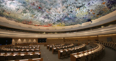 Examinará Consejo de derechos humanos de la ONU impacto del bloqueo