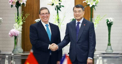 Sostuvo Canciller cubano importantes reuniones en Cumbre de los BRICS